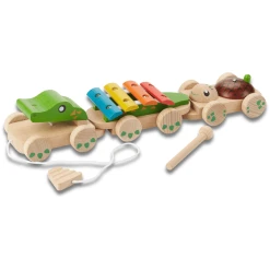 EverEarth® Musikzug